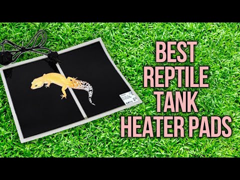 YouTube video about: Can reptile heat mats catch fire?