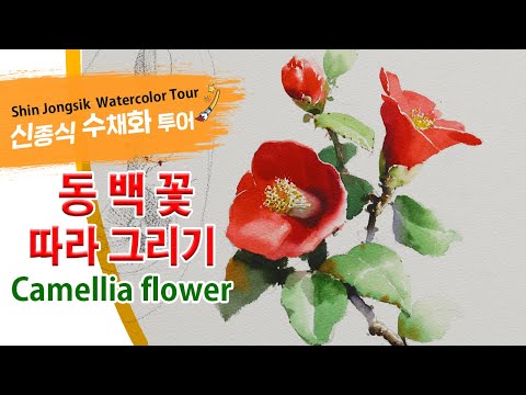 신종식수채화투어[동백꽃그리기] watercolor painting TV foundation 水彩画, 水彩畫, Aquarelle, акварельный, Camellia flower
