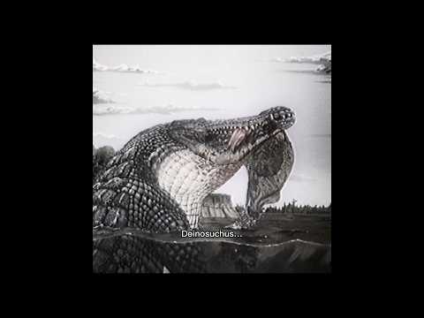 This Croc was deadlier than the Dinosaurs… #deinosuchus #dinosaur #prehistoric #crocodile #animals