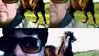 ON MY WAY BACK TO YOU