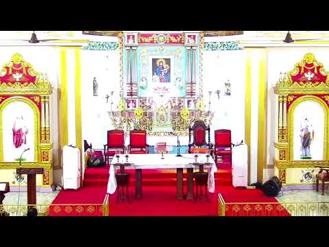 24 FEBRUARY 2026 - 05.30PM ||  LIVE HOLY MASS  ||  VALLARPADAM SHRINE BASILICA