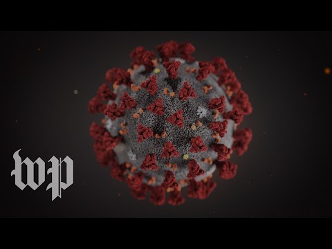 Superspreader events, explained