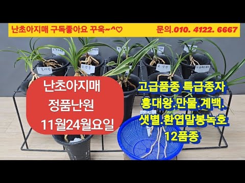 유튜브 썸네일