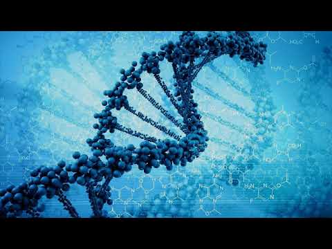 Гены и геном человека (рассказывает профессор Константин Северинов)
