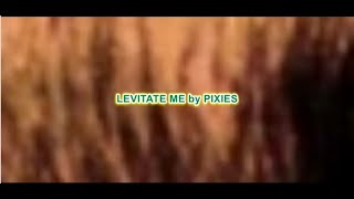 Pixies - Levitate me (lyrics)