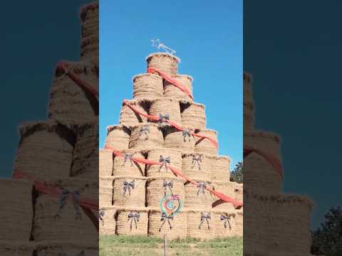 PINTORESCO ÁRBOL NAVIDEÑO EN MARÍA SUSANA Hecho, provincia de Santa Fe. Conocé más en nuestras redes