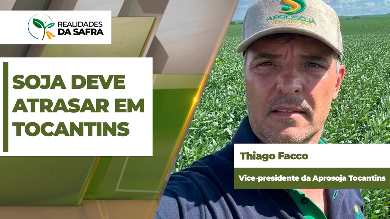 Tocantins espera período sem chuvas justamente durante a janela ideal de plantio da soja 2026/27