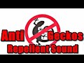 Anti Geckos Repellent Sound #AvoidGeckos  #AntiLizards