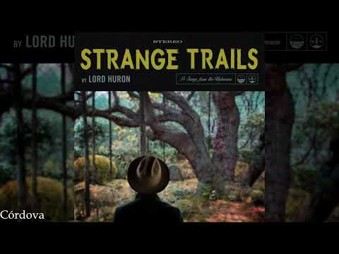 Meet Me in the Woods - 1 hour