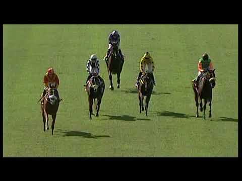 20190525 Scottsville Race 1 won by SHIVERS