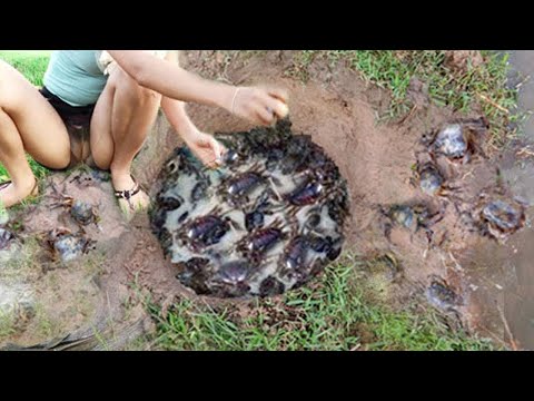 Yummy Cooking Roasted Chicken With Coca-Cola Recipe,Eating Delicious,Cooking Skills