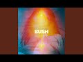 All The Worlds Within You (2017 - Remaster)