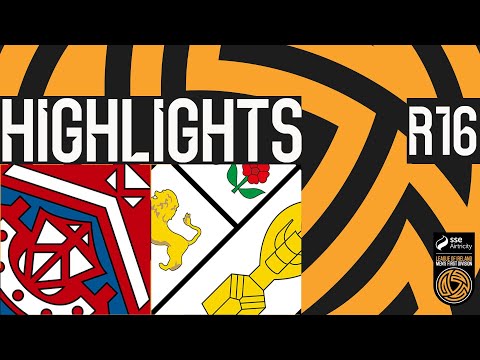 bg-highlight