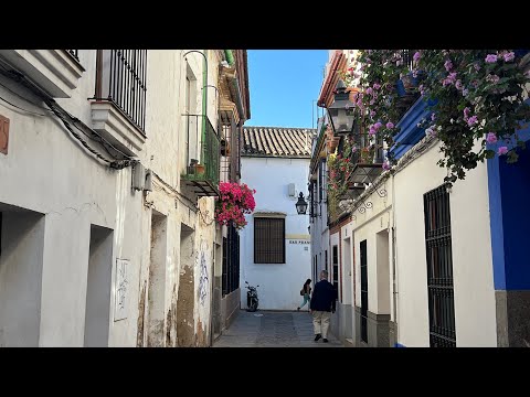 Luton to cordoba by plane and train 