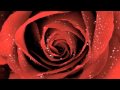 Spottiswoode - Nice girl 
