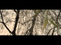 Low Shoulder - Toro Y Moi Music Video
