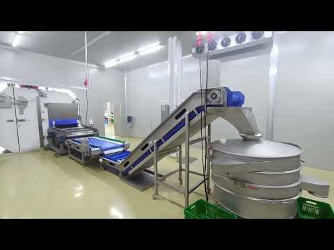 Frozen Products Line Installed in Kenya- Dewatering, Conveying & Screening Solutions