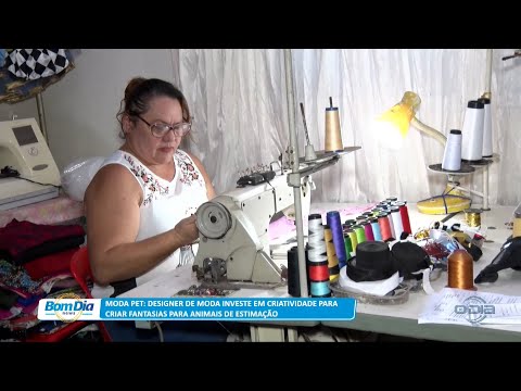 Moda Pet: Designer de moda investe em criatividade para fantasias de animais 15 02 2023