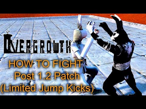Overgrowth - Combat Tutorial without use of Jump Kick - Hand to hand