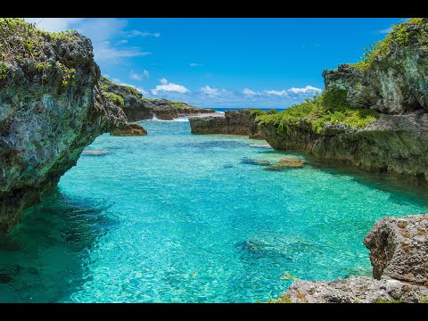 LEOTAOGO NIUE 683 (May 11 2022)