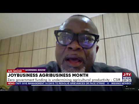 Agribusiness Month: Zero government funding is undermining agricultural productivity - CSIR