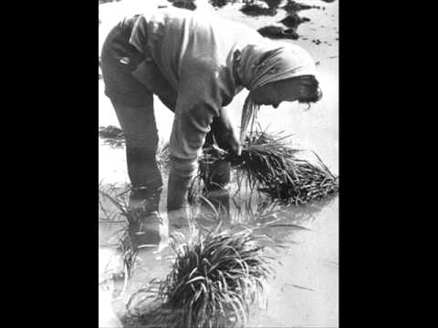 Giovanna Daffini - Bella Ciao - (Mondina).wmv