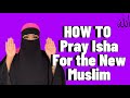 How To Pray Isha| Beginner Friendly| English subtitled| Muslim Reverts| 5th Prayer