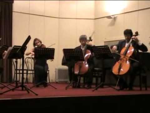 ONDA TG 6.11.2012 - CAMERATA MUSICALE SALZBURGER SOLIST