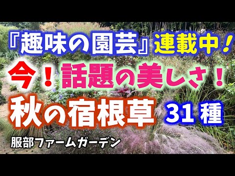 フランスの植物園のリスト - 定義