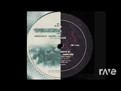 Chilled House - Mouly And Lucida & Hokusai | RaveDj