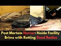 Post Mortem Horror Noida Facility Brims With Rotting Dead Bodies Post Mortem House The Probe