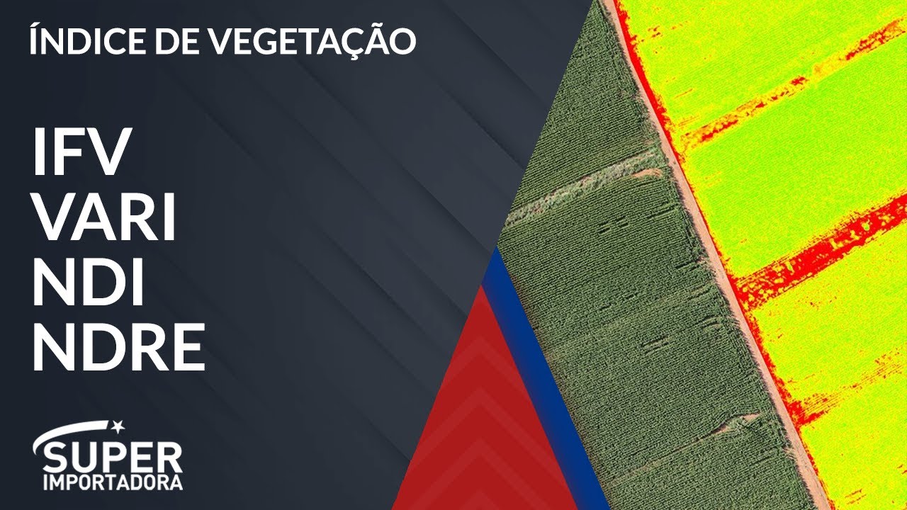 ÍNDICE DE VEGETAÇÃO | O que é? (IFV, VARI, NDVI, NDRE)