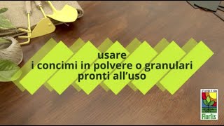 Azzurrante per Ortensie in polvere 1000 g