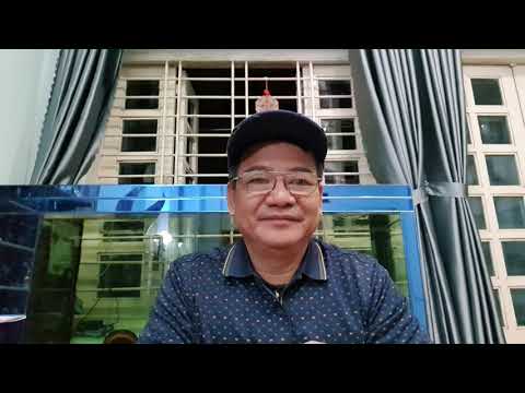 What despicable and underhanded tactics did Hoang D Hung use to deal with Ms. Nguyen P Hang?