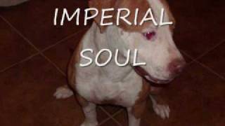Imperial Soul, The Prayer (Live )