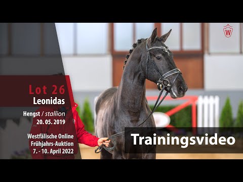 Online Frühjahrs-Auktion Training Lot 26 Leonidas Hengst v. Libertad - Fidermark