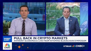 We maintain our $180k-$200k bitcoin price target by year-end, says SkyBridge's Anthony Scaramucci