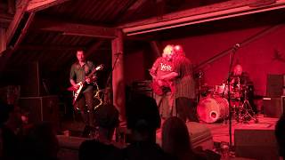 Bevis Frond - Pale Blue Blood