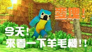 [Vtub] 菜姬 minecraft麥塊｜麥塊!來看羊毛機!!