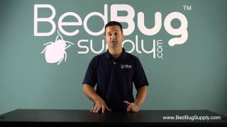 How to Move Without Bringing Bed Bugs With You