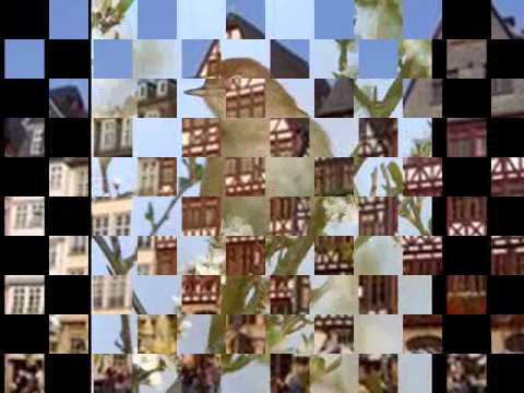 Clelia Felix - Magical Moments