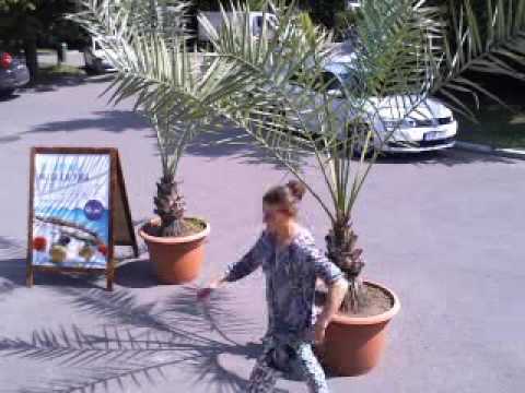 Ciprian Gabriel Live Stream