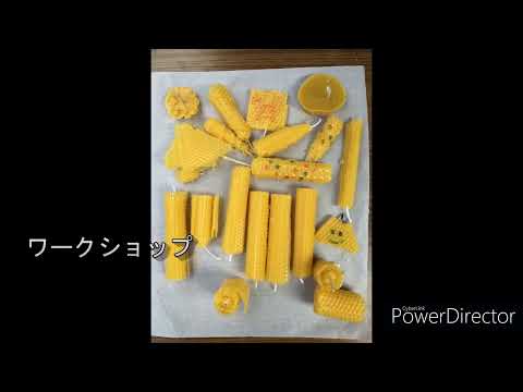 商学科 星槎みつばちの会