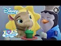 T.O.T.S. | Koala Keuken ⛅ | Disney Channel NL