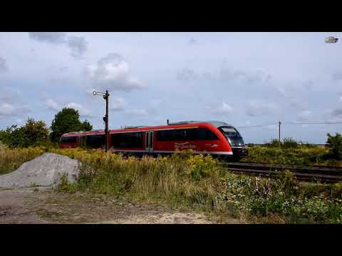 Züge in Groß Ammensleben - VT 642 und Gravita mit Güterzug