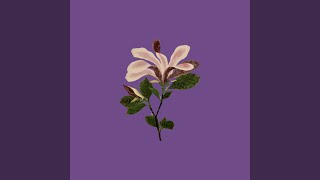 Cover art for I want you to tell me that the moon is beautiful!