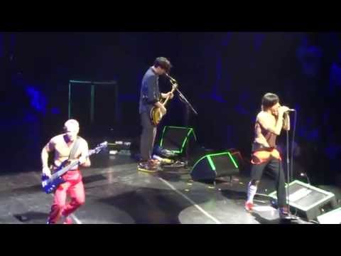 Red Hot Chili Peppers 2014-02-01 Brooklyn, NY (FULL SHOW - MULTICAM)