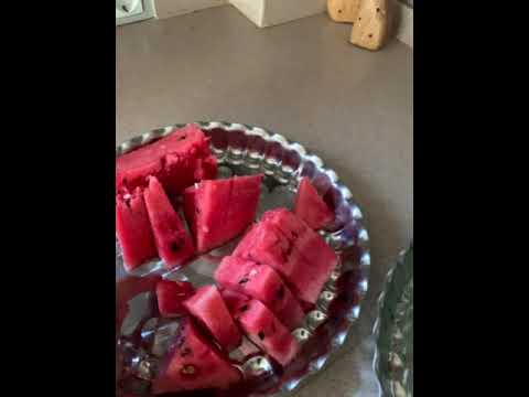 بفرمایید هندوانه 🍉