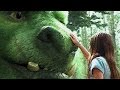 PETER AND THE DRAGON KIDS STORY