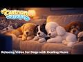 Dog TV For Dogs To Watch 2026 Perfect For Dogs Home Alone Stress Relief Boredom Buster